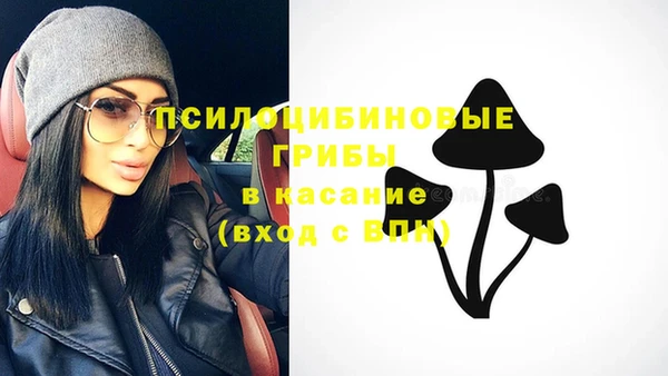 скорость Лагань