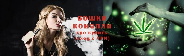 спиды Ладушкин