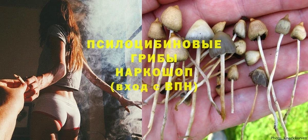 спиды Ладушкин