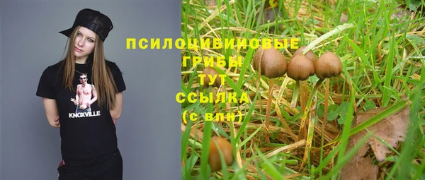 спиды Ладушкин