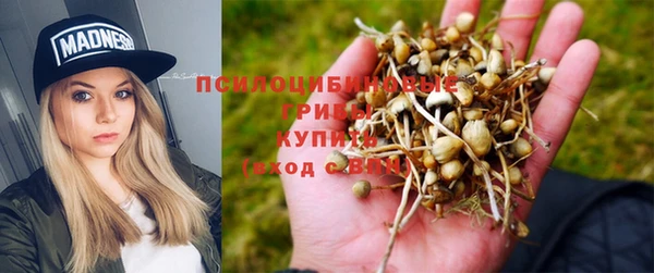спиды Ладушкин